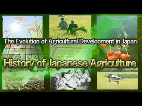  Xenogarden: A History and Philosophy of Japanese Agriculture - A Symphony of Earth and Tradition